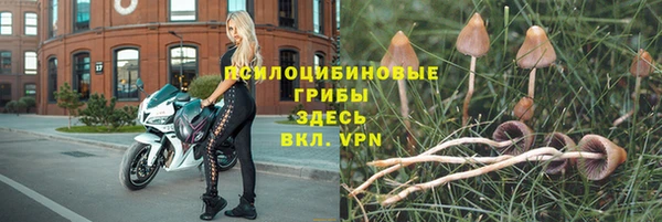 бошки Баксан