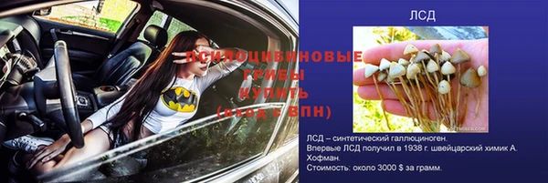 бошки Баксан