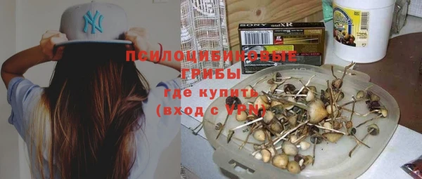 бошки Баксан