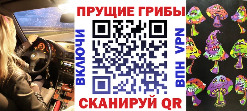 купить наркотик Белёв Псилоцибиновые грибы Cubensis