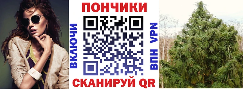 Шишки марихуана семена где продают Белёв